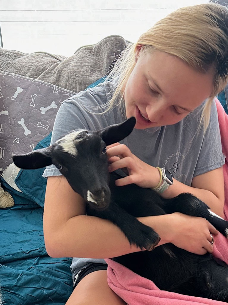 goat in girl's arms