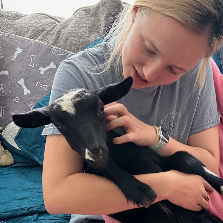 goat in girl's arms